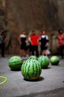 烹饪故事有趣的咖啡馆 