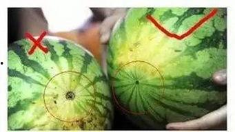 福州骊特房产网 