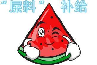 黑料吃瓜网apk普通安装